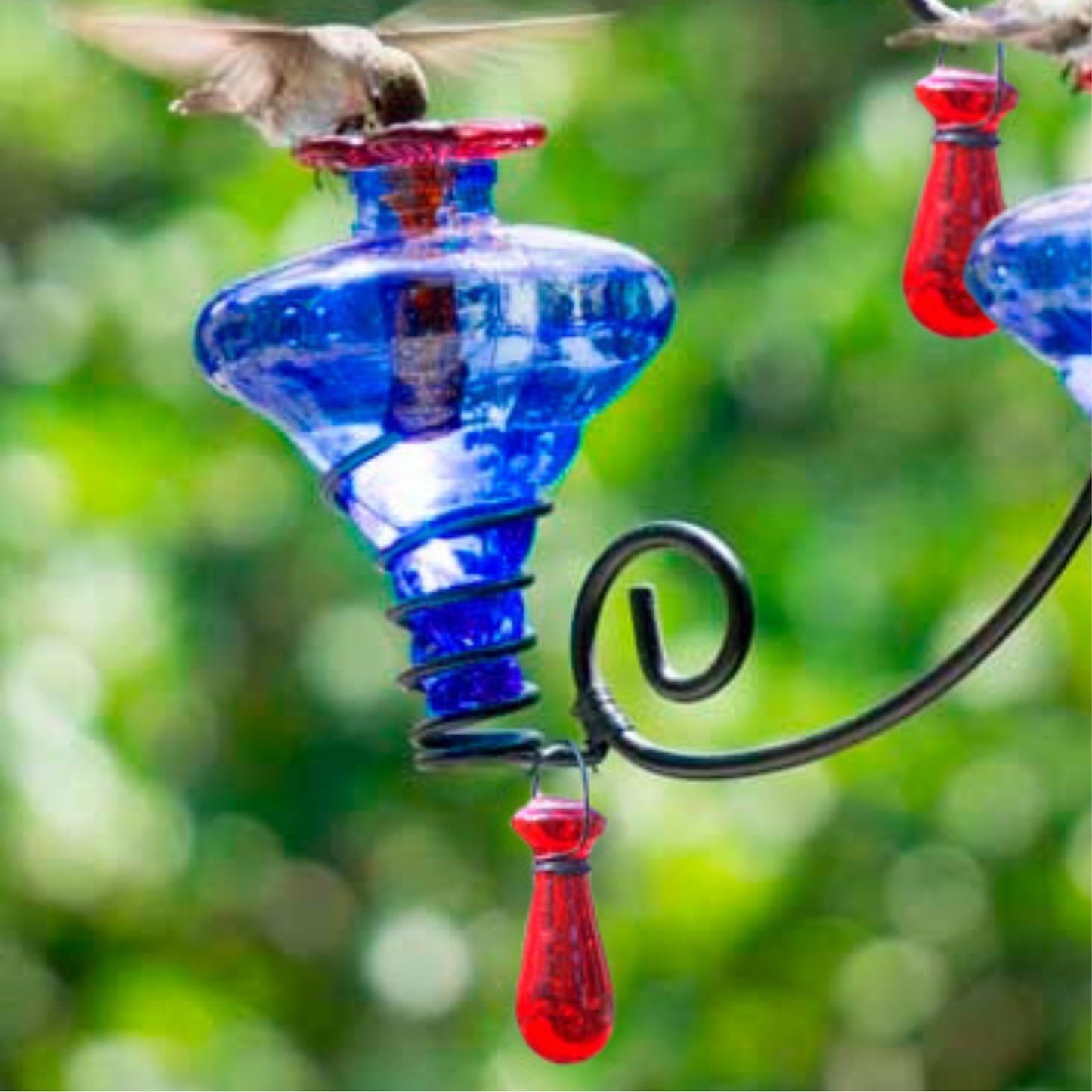 Replacement Glass Feeding Vessel Only for Hummingbird Feeders - Available in 4 colors - shown in Cobalt Blue | INSIDE OUT | InsideOutCatalog.com